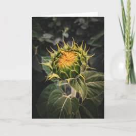 5 x 7ノートカ空白のードセット ノートカード