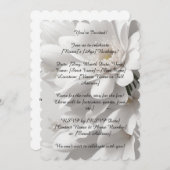 5 x 7 バースデー・招待カード（封筒付き） 招待状 (正面/裏面)