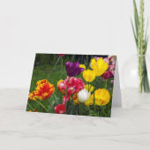 5" x 7" フォールディング グリーティング カード (正面)