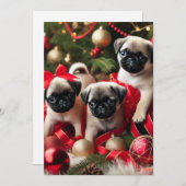 5 x 7 フラットホリデーカード シーズンカード (正面/裏面)