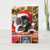 5" x 7"折り畳みホリデーカードサンタのクッキー シーズンカード (正面)