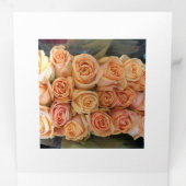 5" x 7" 3つ折り文字プログラム 三つ折りプログラム (内部最初)