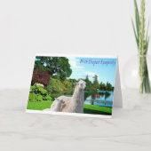 5 x 7 alpacaの最も深い同情カード サンキューカード (正面)