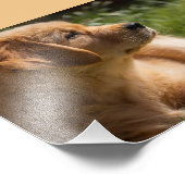 5 x 7 High Definitionのパーソナライズ名 フォトプリント (角)