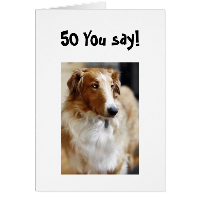 5Oお前は言った！ (正面)