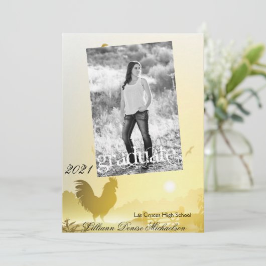 5x7シニアアナウンスサニーモーニングファームカントリー 案内状 (スタンド正面)