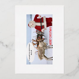 5x7ホイルカードメリークリスマスサンタブタ 箔シーズンカード