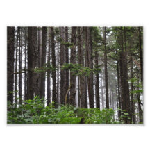 5X7ラプッシュ2ndビーチトレイル