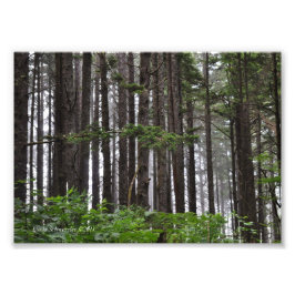 5X7ラプッシュ2ndビーチトレイル フォトプリント