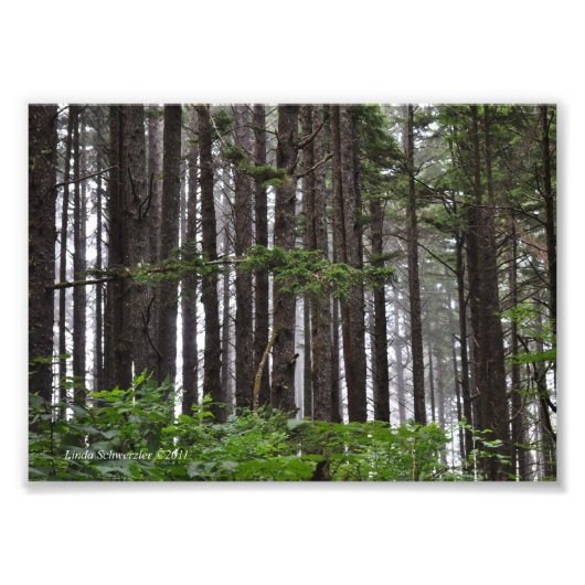 5X7ラプッシュ2ndビーチトレイル フォトプリント (正面)