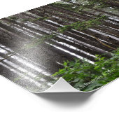 5X7ラプッシュ2ndビーチトレイル フォトプリント (角)