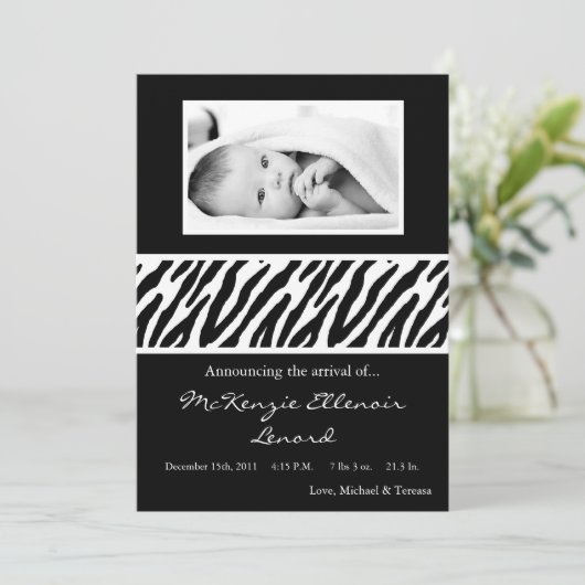 5x7白黒のシマウマの写真の誕生の発表 案内状 (スタンド正面)