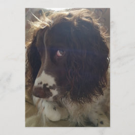 5x7空白のなバースデー・カード カード