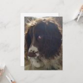 5x7空白のなバースデー・カード カード (正面/裏面インサイチュ)