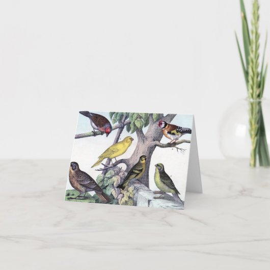 6つのカラフル鳥ヴィンテージポストカードアート。 カード (正面)