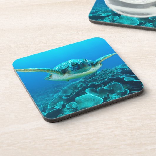 6つのコースターのウミガメセット コースター (左側)