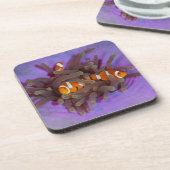 6つのコースターのピエロのAnemonefishセット コースター (左側)