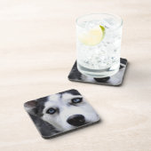 6つのコースターの青い目のハスキーセット コースター (右側)