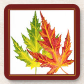 6つのコースターをセットにしたシルバーメープル コースター (正面)