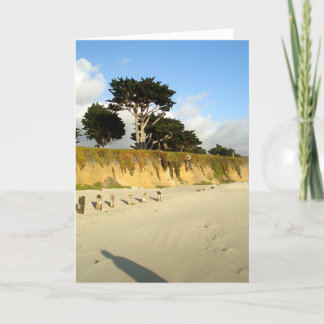 6つのポストおよび影 カード