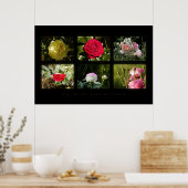 6つの小さいばら色の写真 ポスター (キッチン)