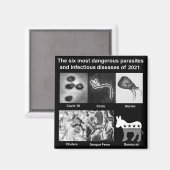 6つの最も危険な寄生虫と感染性 マグネット (正面/裏面)