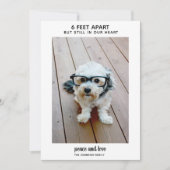 6つの足を離れても私のハートに – 1写真の平和 シーズンカード (正面)