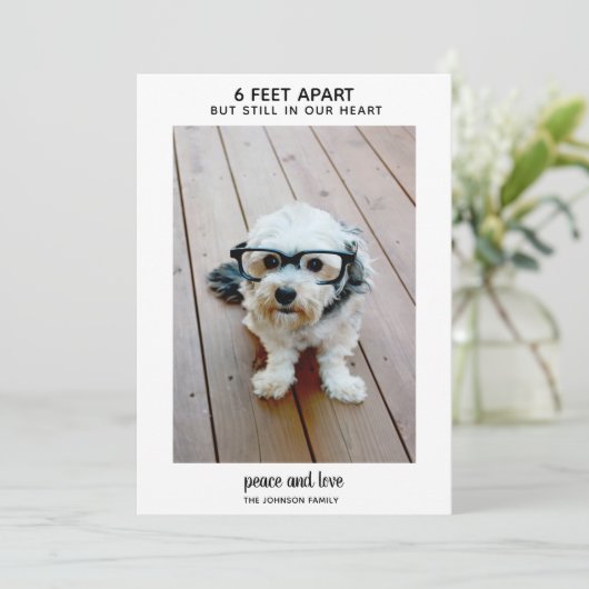 6つの足を離れても私のハートに – 1写真の平和 シーズンカード (スタンド正面)