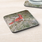 6つの(鳥)ショウジョウコウカンチョウコースターのセット コースター (左側)