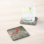 6つの(鳥)ショウジョウコウカンチョウコースターのセット コースター (右側)