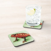 6アカガエルのコースターセット、野生動物スケッチ コースター (右側)