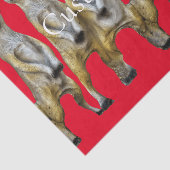 6スタンディングメルカッツサンダー_コーブ 薄葉紙 (詳細)