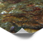 6スポットグループ ポスター (角)