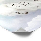 6フィート ポスター (角)