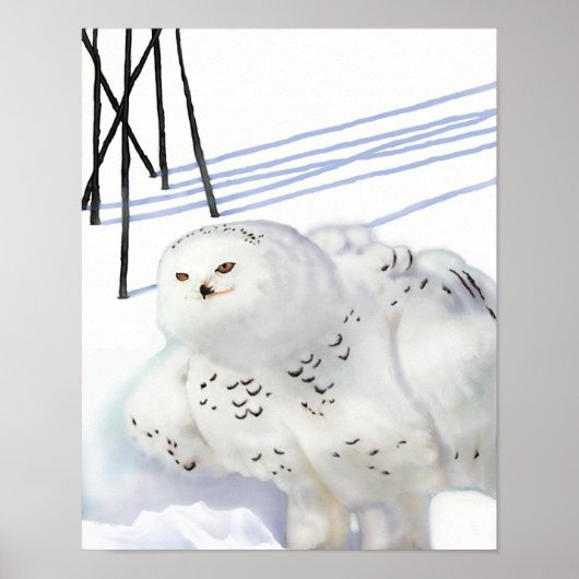 6フィート ポスター (正面)