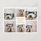 6フォトコラージュのミニマル – 金ゴールドとホワイトグリッド ポストカード (正面)