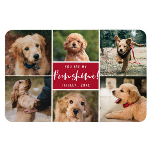 6フォトコラージュ私のファンシャイン  レッドペット マグネット