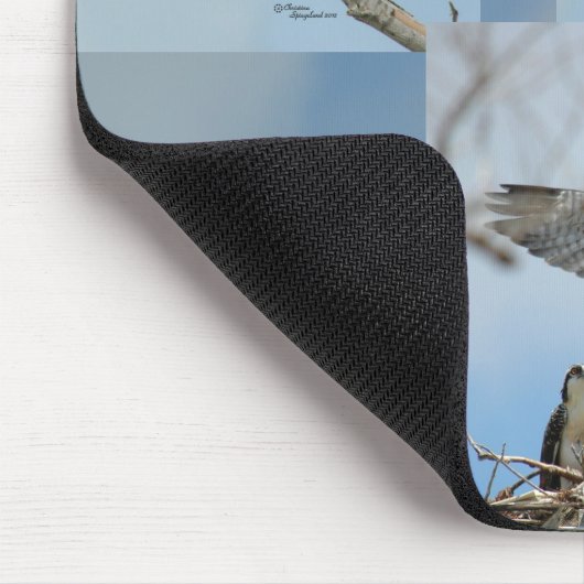 6ミサゴの鳥の写真のマウスパッド マウスパッド (コーナー)