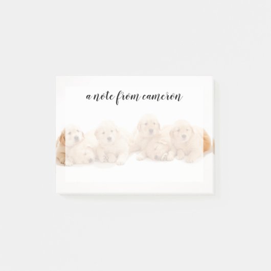 6人のゴールデン·レトリバー·パンピー ポストイット (正面)