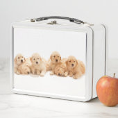 6人のゴールデン·レトリバー·パンピー メタルランチボックス (インサイチュ)