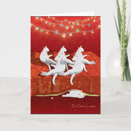 6便の猫の置くこと… 休日 シーズンカード