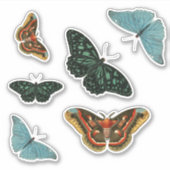 6個のヴィンテージカラフルのコンターかわいらしター シール (正面)