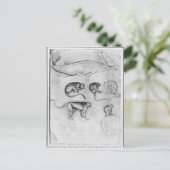 6匹のサルとチョウザメ ポストカード (スタンド正面)