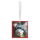 6匹の名前及び写真の立方体のオーナメントと個人化して下さい キューブオーナメント (右)