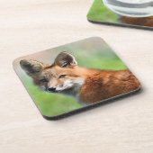 6台のキツネコースター コースター (左側)