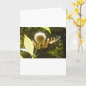 6月のモナークのグリーティングカード カード (黄色い花)