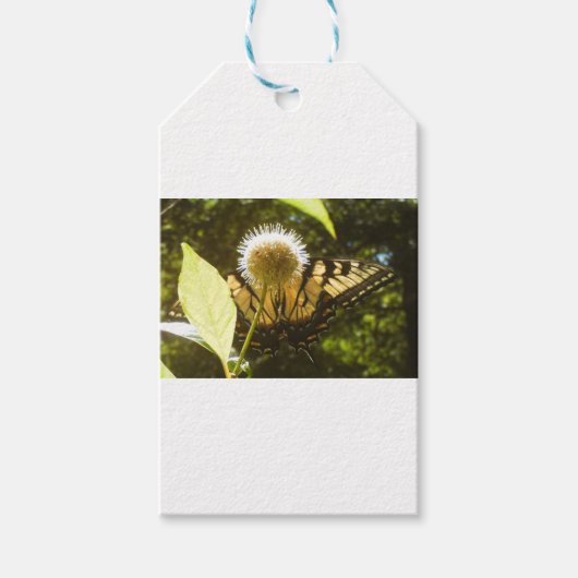 6月のモナーク フラワー ギフト タグ (正面)