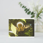 6月の君へ　ポストカード ポストカード (スタンド正面)