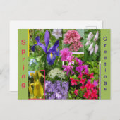 6月の花のコラージュ顧客。ポストカード ポストカード (正面/裏面)