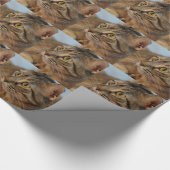 6月の虫 ラッピングペーパー (角)